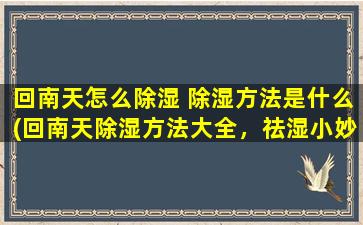 回南天怎么除湿 除湿方法是什么(回南天除湿方法大全，祛湿小妙招尽在其中)